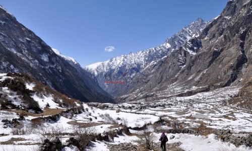 Langtang Valley Trek