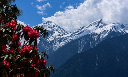 Nepal Trekking experience nepal vs tibet vs bhutan trek