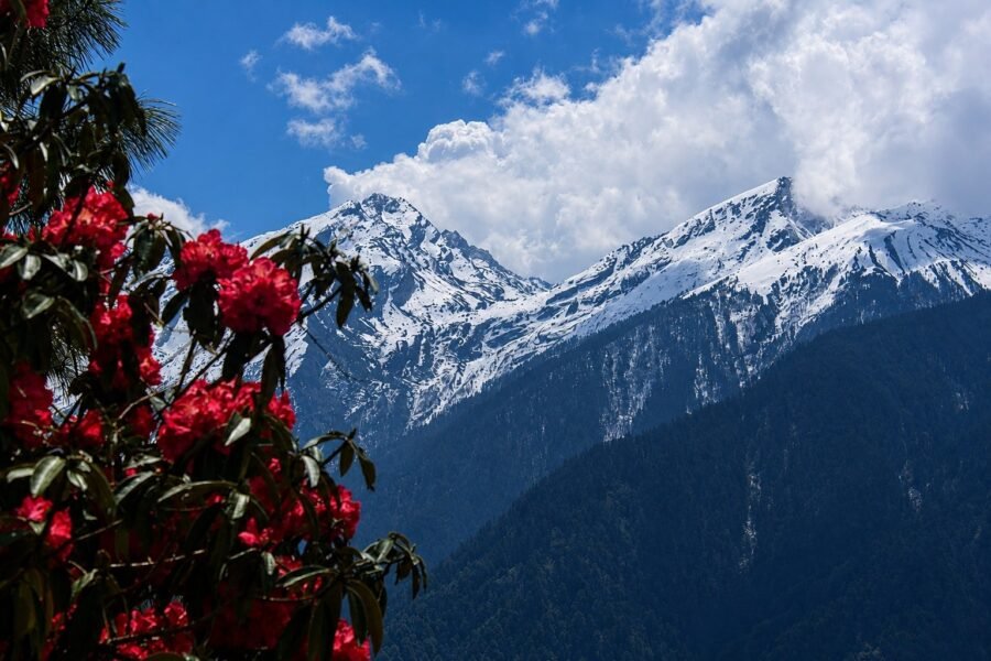 Nepal Trekking experience nepal vs tibet vs bhutan trek