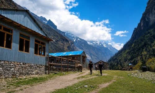 trekking in nepal with kids and senior citizens
