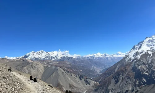 tilicho lake trek