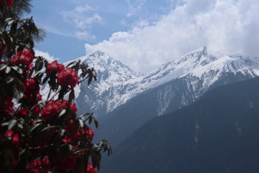 Best Treks in Nepal Under 10 Days